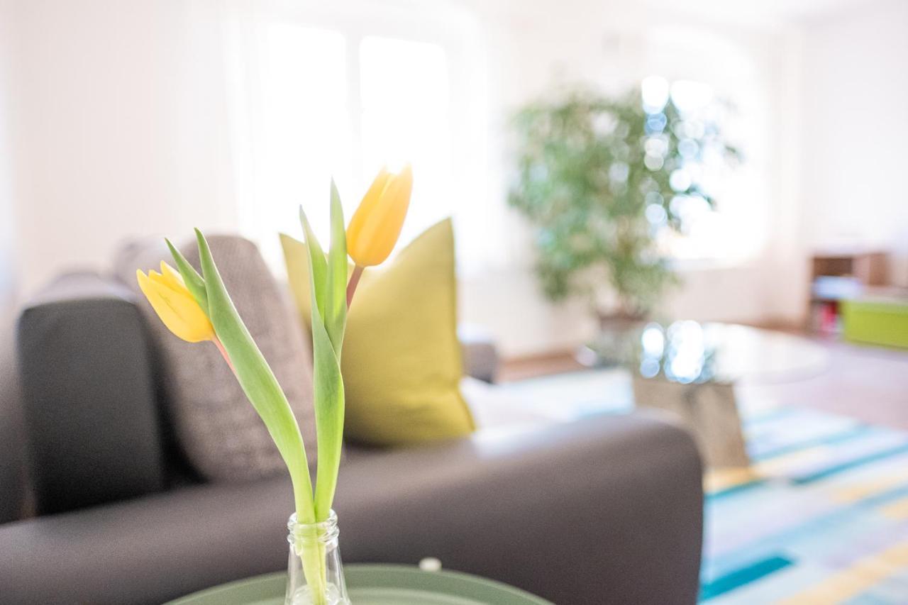 Helle Ferienwohnung Im Hinterhof ドレスデン エクステリア 写真